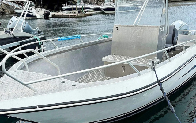 5 Person Holiday Home in Oksvoll