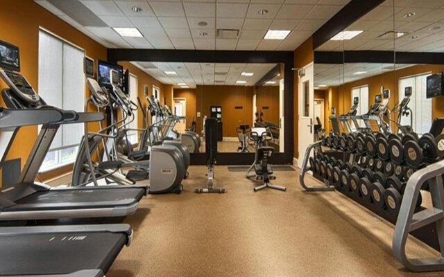 Hilton Garden Inn Houston/Galleria Area