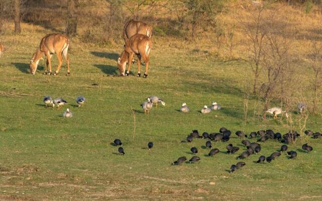 RAAS Chhatrasagar