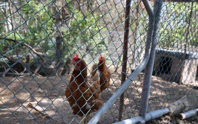 Appartamenti Il Palazzaccio