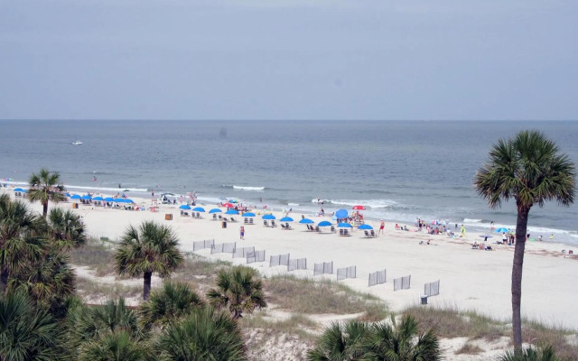 Lighthouse Tennis 2407