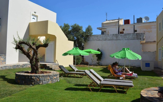 Olive Grove Apartments