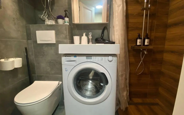 Студия на проспекте Суворовский 1/8