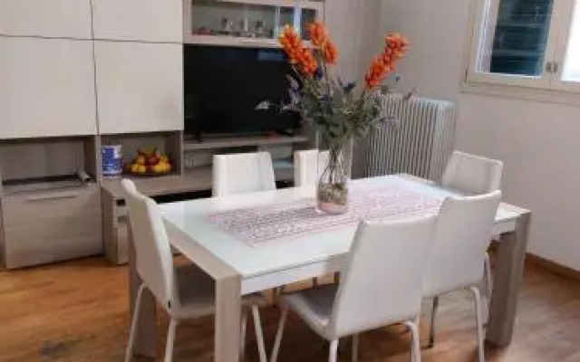 Irnerio 1471 Bologna Hld 34482