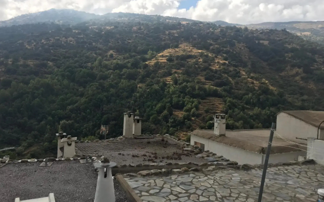 Casita Paloma