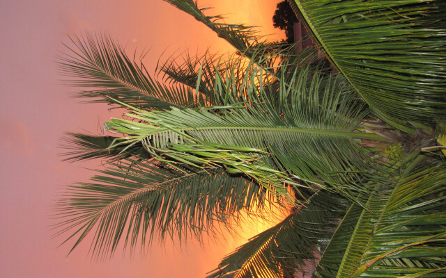 Blue Coconut Cancun Hotel