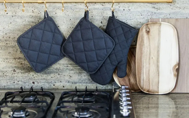 Thatched Villa by Ijsselmeer