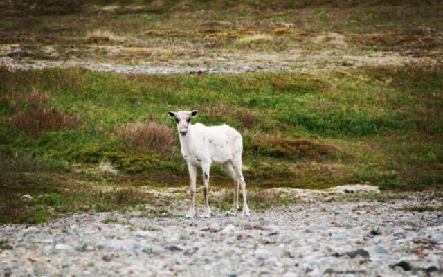 The Convent Guesthouse
