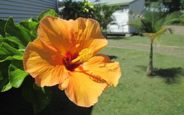 Auberge De Gaulle in Voh, New Caledonia from 114$, photos, reviews - zenhotels.com