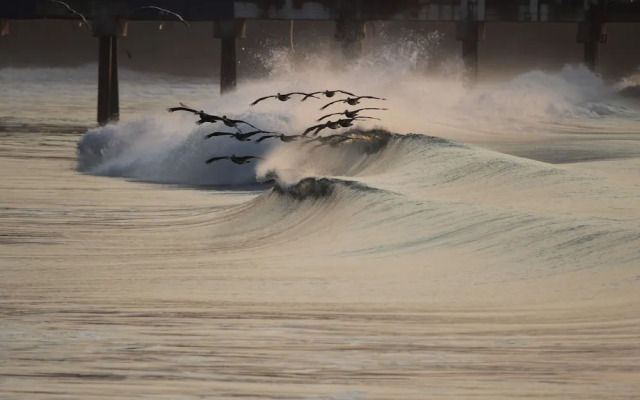 Ast Surf Hotel
