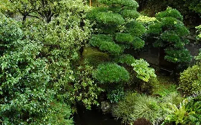 Ito Onsen Suihoen