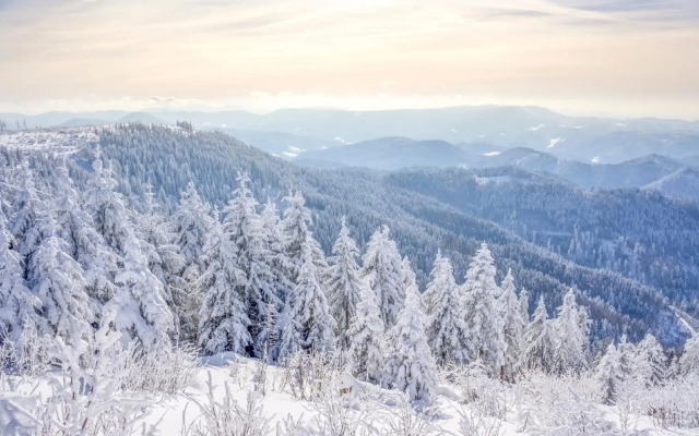 Hapimag Resort Unterkirnach