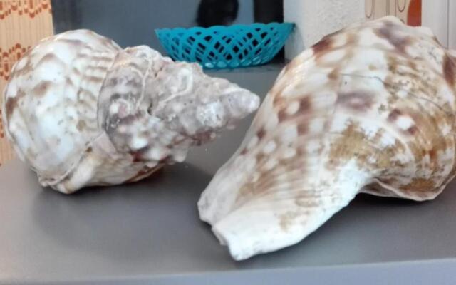 Arrifana View Flat - 3 minutos da Praia