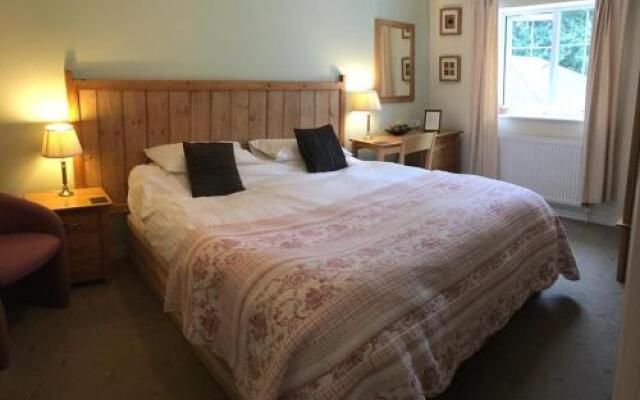 The Saxon Inn