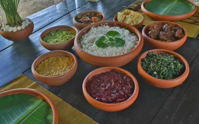 Camp Hasthi