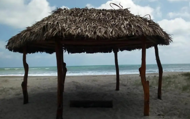 Jardin Pacifico