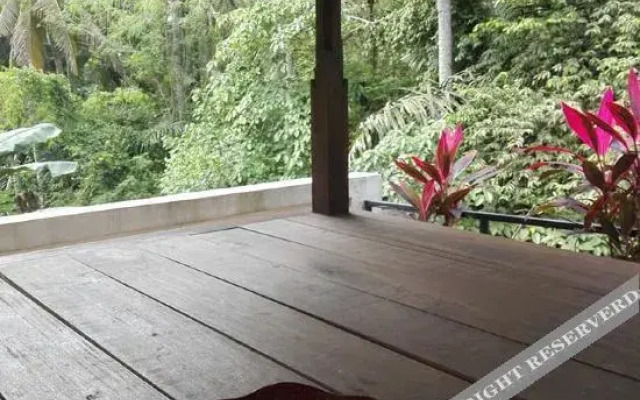 Shima House