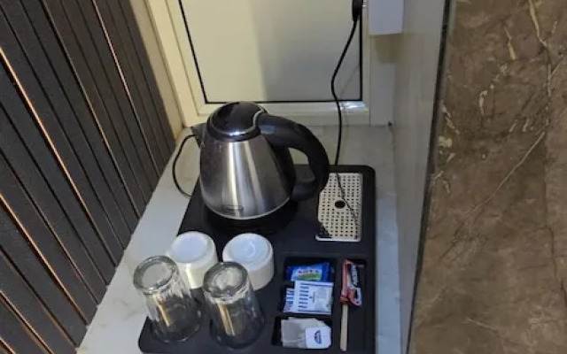 Vega Hotel & Restro and The OM residency