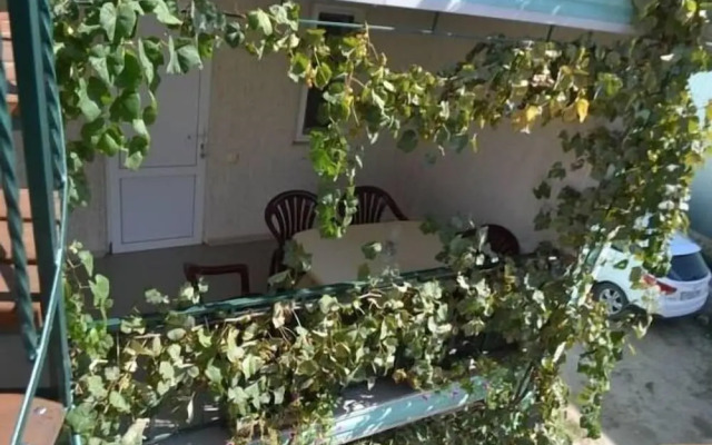 Guest House Seagull