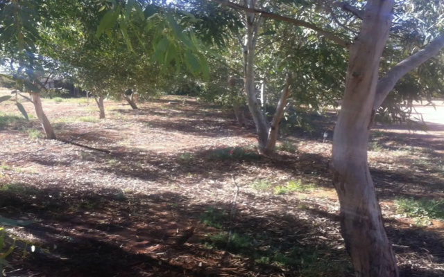 William Creek Camp Ground & Units