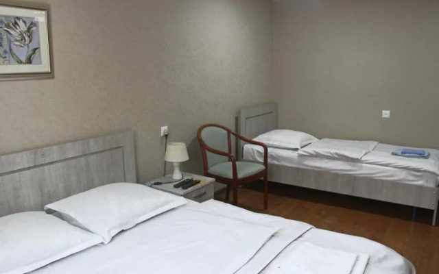 Guest House Erekle 6