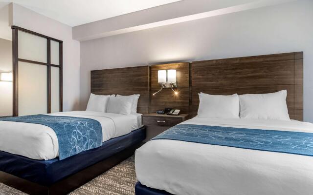 Comfort Suites McDonough Atlanta South