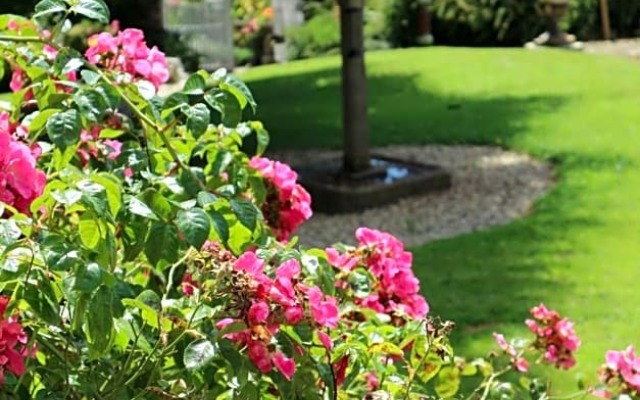 Dunmore Gardens Log Cabins