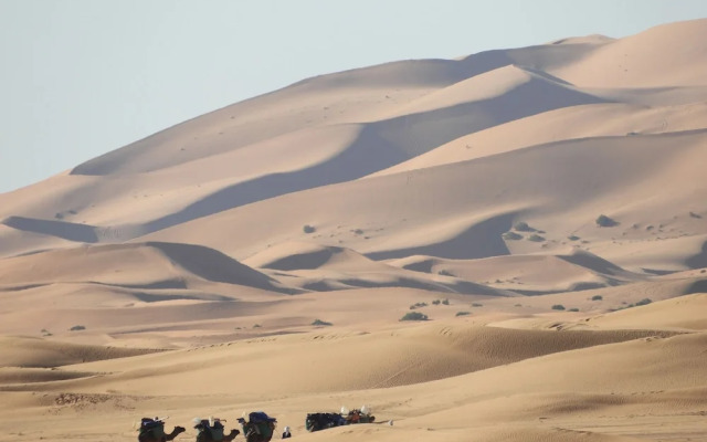 Sahara Camel Trips