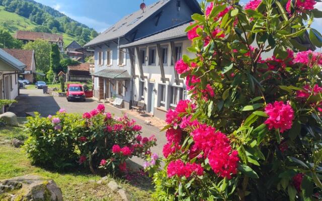 Locations des 3 sommets avec Sauna et Spa en Alsace