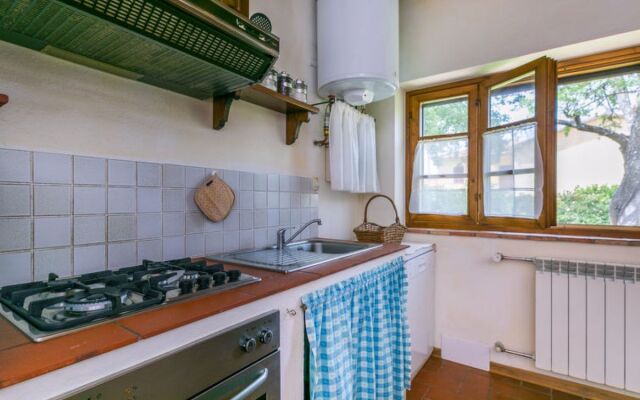 House Salustri Cinigiano 29823