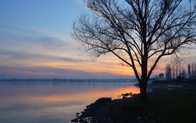 Willow apt With Shared Pool