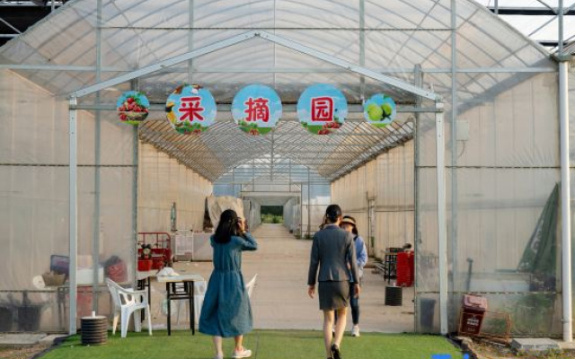 Shanghai Changxing Countryside Kusha Vacation Apartment