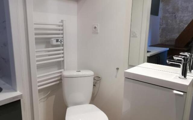 Studio en duplex dans un hôtel particulier