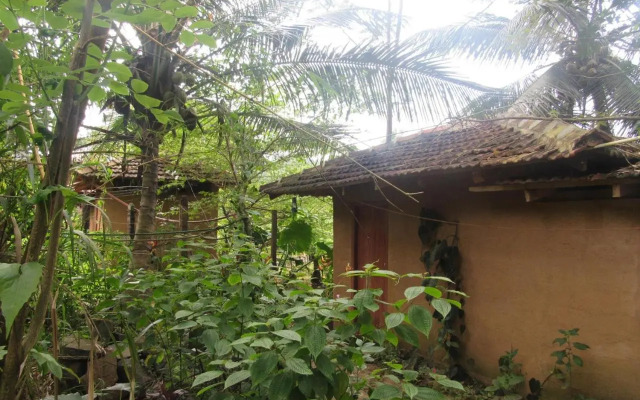 Rural Jungle Backpackers Hostel