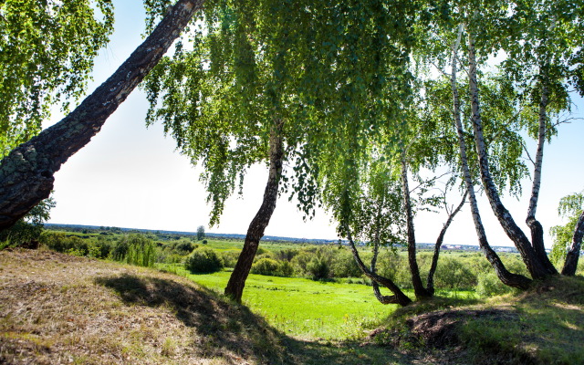 Lastochka