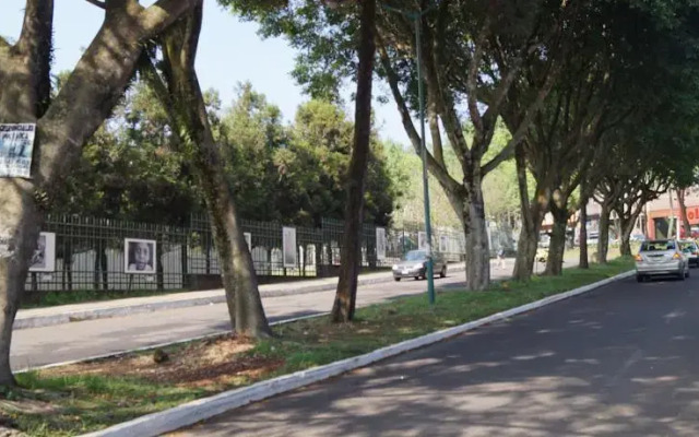 Casa Orpheline