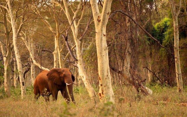 EcoTraining Makuleke Camp