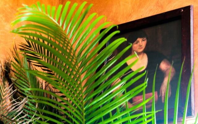 Villas y Suites Paraiso del Sur