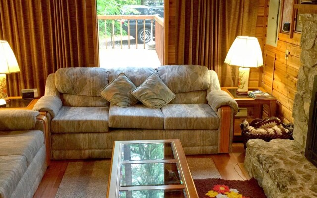 Snowline Cabin #35 - A Pet-friendly Country Cabin. Now has air Conditioning!