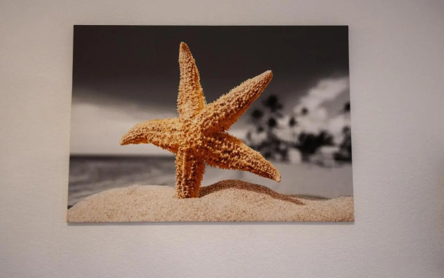 079 Schroeder Ferienwohnung