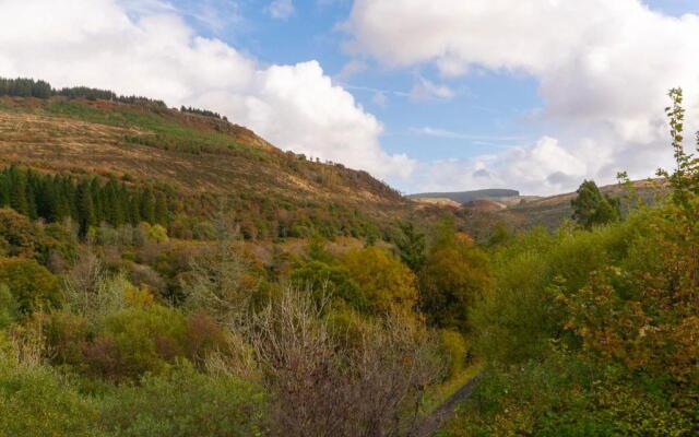 The Nest by Afan Valley Escapes