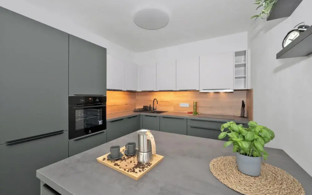Fully equipped apartments with Terraces, Free garage parking, Netflix & AC - by Apartmány Šlapanice cz