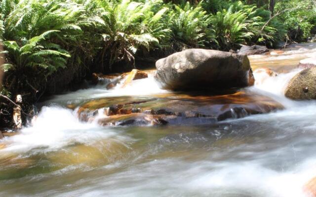 ELM Riverside Accommodation