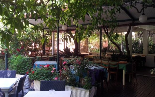Albergo Mimosa