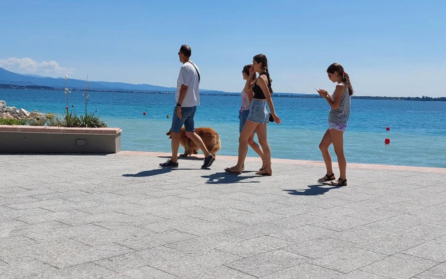 Appartamento Oasi Verde Lago