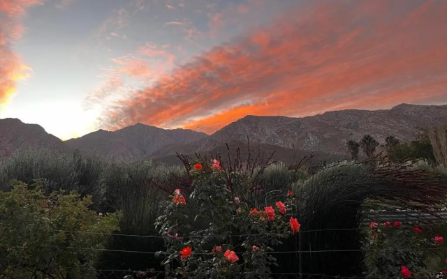 Mirihof Retreat and Olive Estate