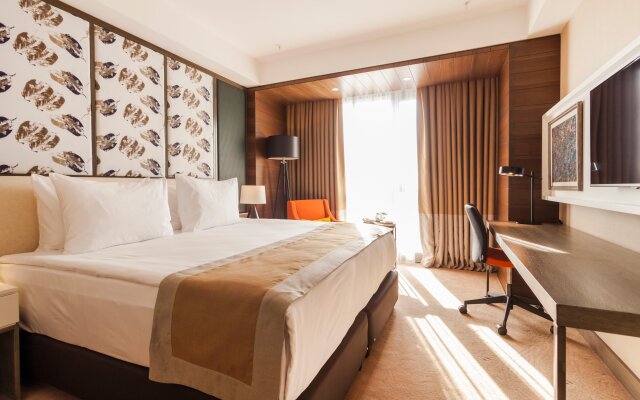 Holiday Inn Kayseri - Duvenonu, an IHG Hotel