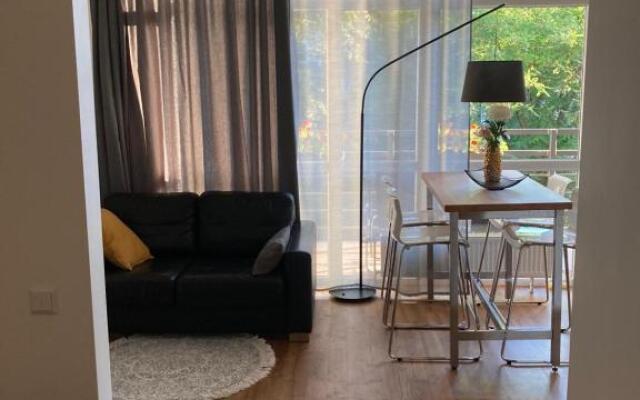 Apartment Dzelzavas 19/3