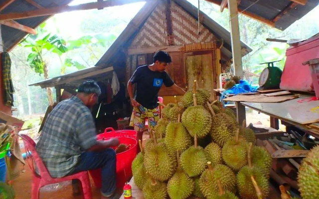 Chomdao Homestay