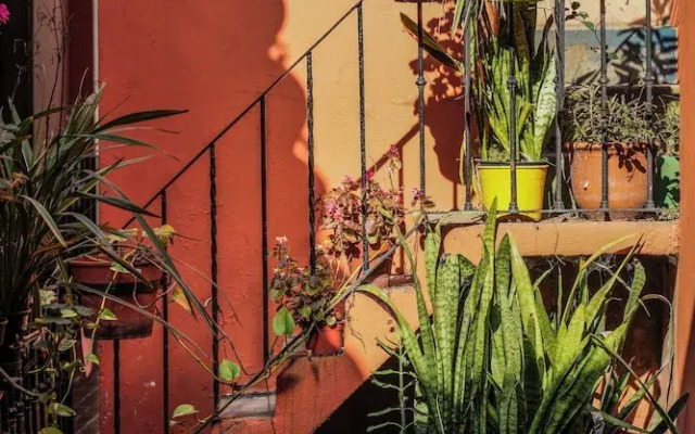 Via Via BsAs GuestHouse 324